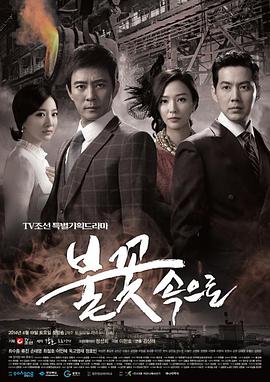 白城seo查询怎么引流